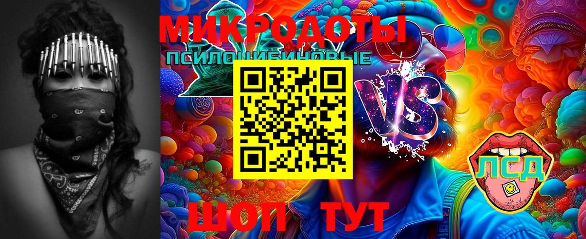 Галлюциногенные грибы MAGIC MUSHROOMS  Вход с VPN  Магнитогорск 