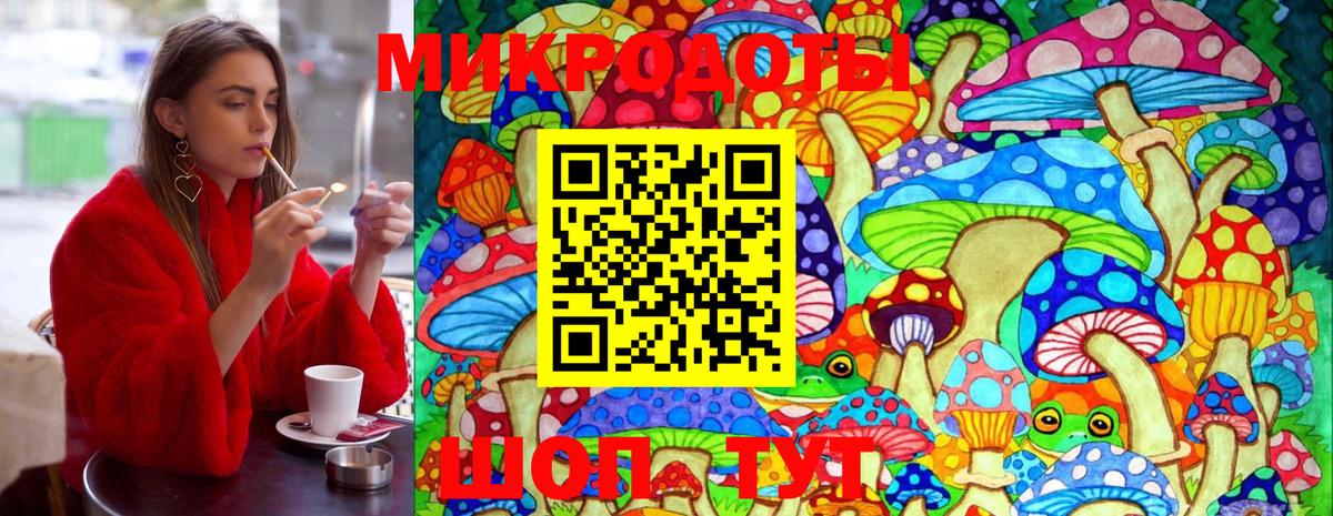 Псилоцибиновые грибы Psilocybe Магнитогорск